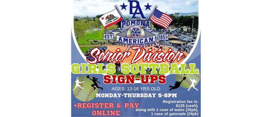 Seniors Softball Division needs a few players!