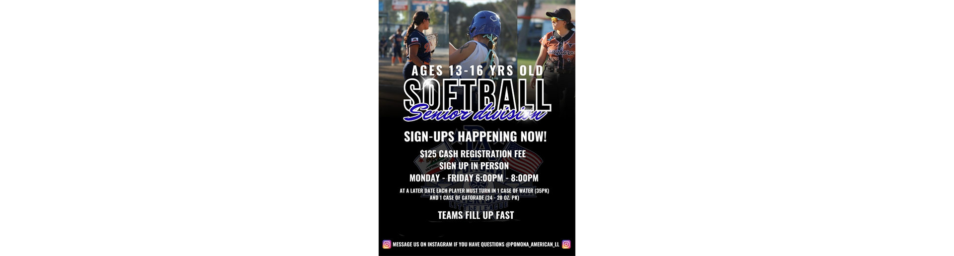Senior Softballs Signups